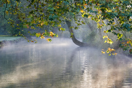 Autumn colour and mists over the Cherwell at Oxford 1- early morning