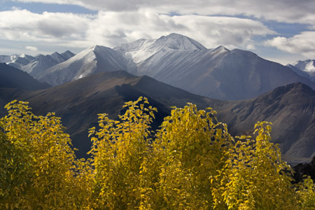 Beautiful autumn scene from Drepung Monastery Lhasa Tibet
